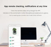 گلدون جذاب و خاص که میتونه پت خانگی شما بشه