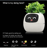 گلدانی که خودش به گیاه آب و غذا میده