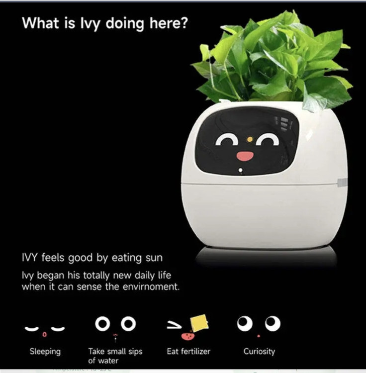 گلدانی که خودش به گیاه آب و غذا میده