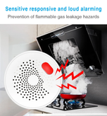 سنسور گاز طبیعی آژیر دار و وایفای دار